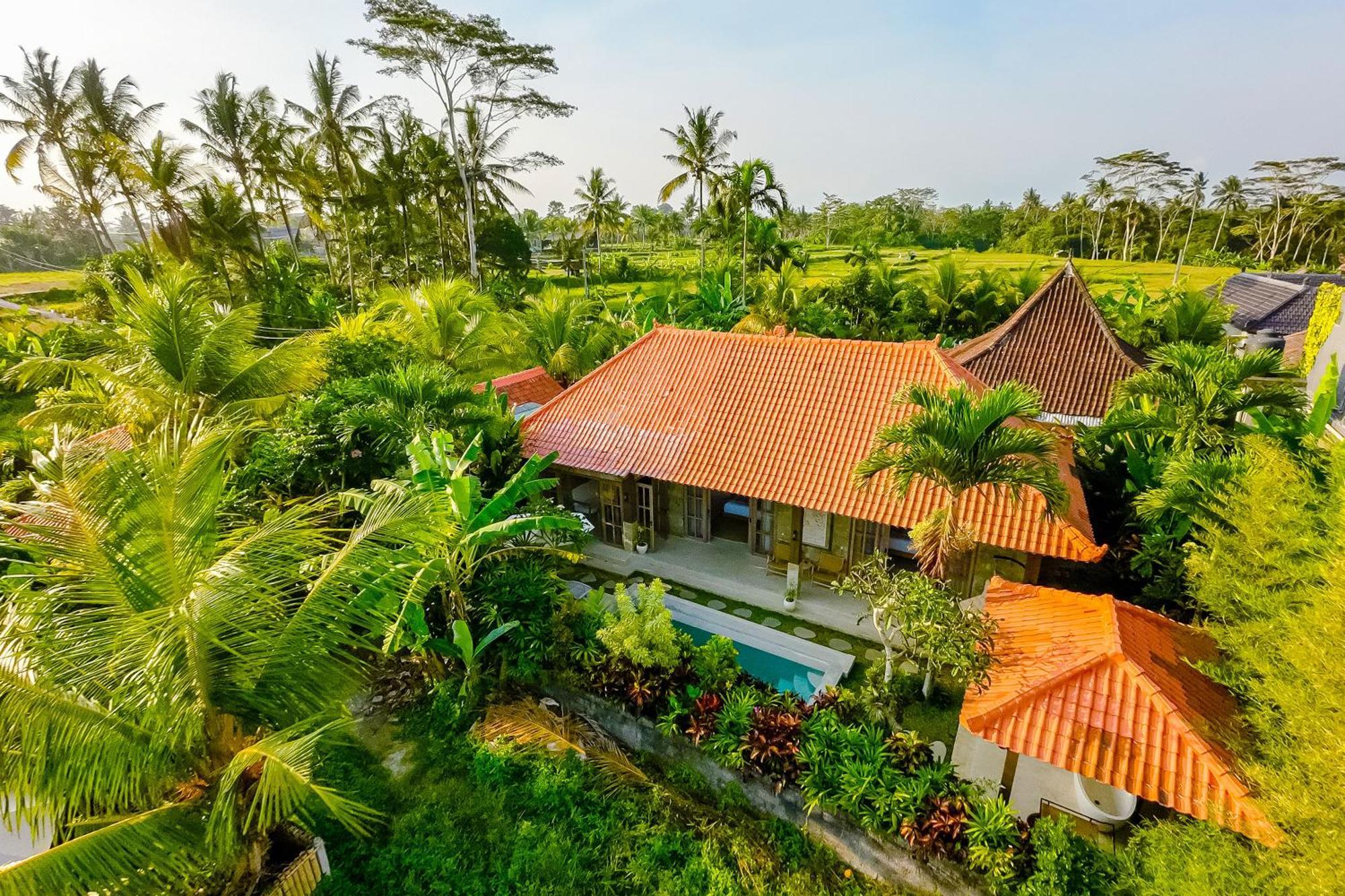 Nyaman Villas By Evdekimi Ubud Esterno foto